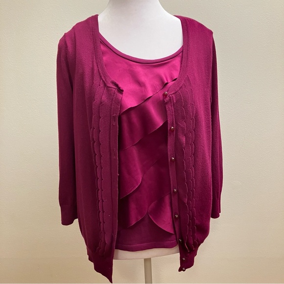 Ann Taylor Deep Rose Sweater Set - Picture 2 of 12